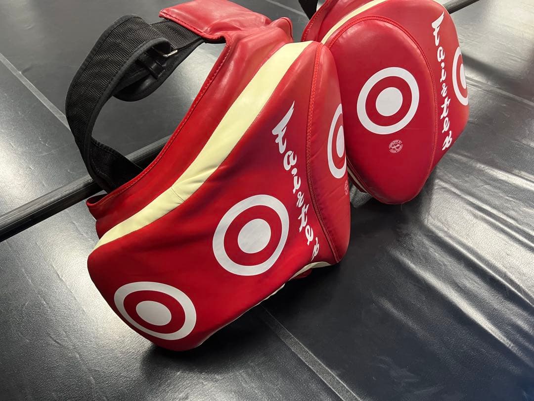 Fairtex フェアテックス ローキック用タイパッド　RED