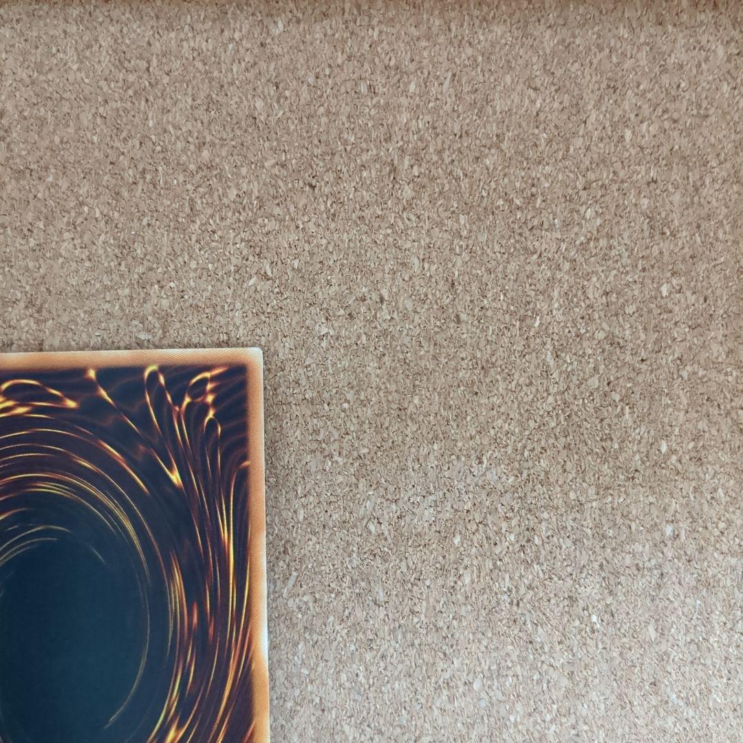 遊戯王旧アジア版1st　進化する翼レリーフ