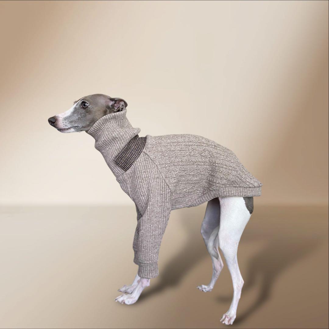 ①ジャズネップアランニット