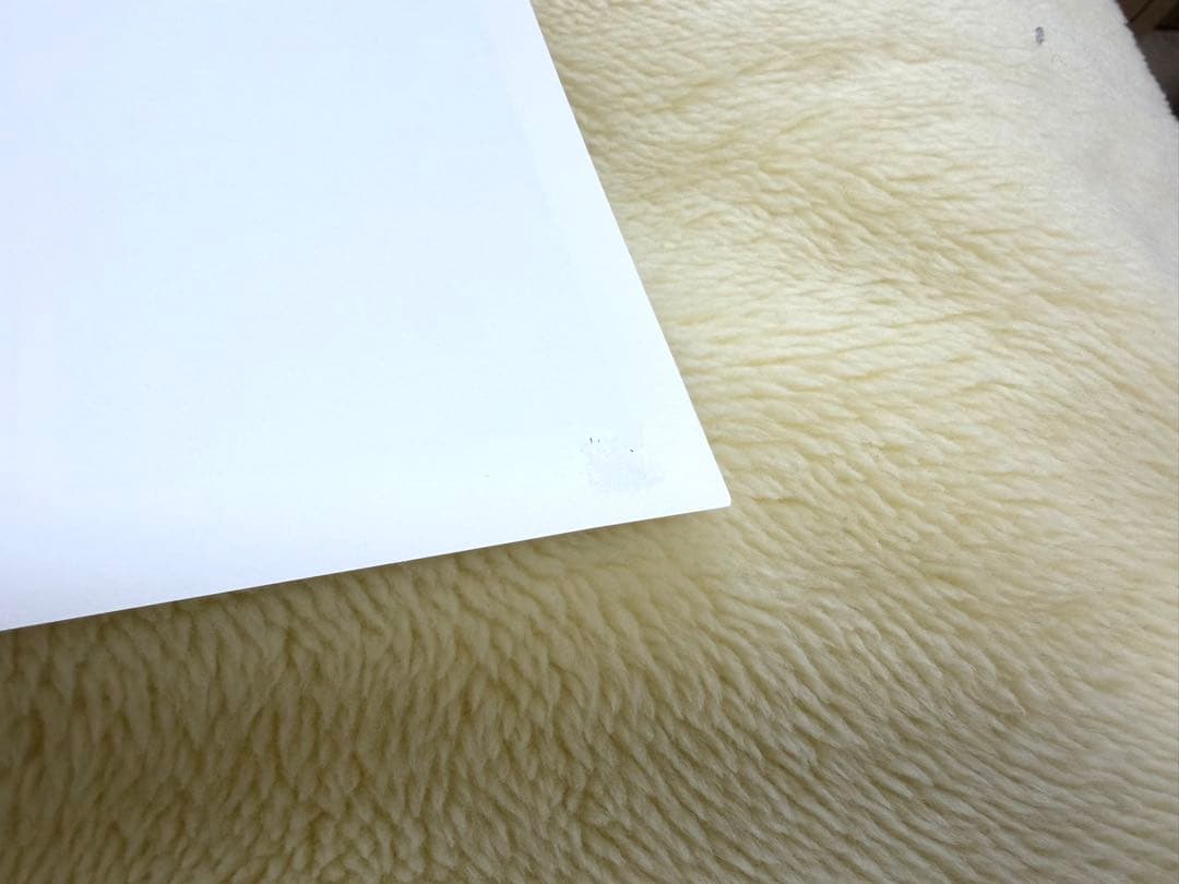 ONE PIECE 名シーン複製原稿（複製原画） 2シーンセット