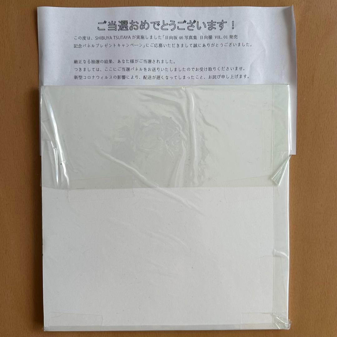 【日向撮】髙橋未来虹　直筆　サイン入り　パネル【新キャプテン】