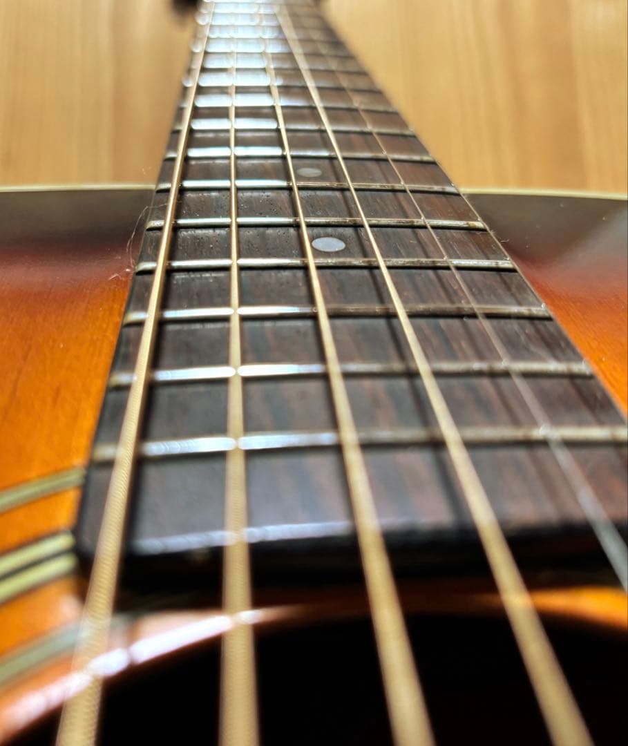 【エレアコ化・ライブ仕様】Aria ADW-200BS 低弦高2.5mm