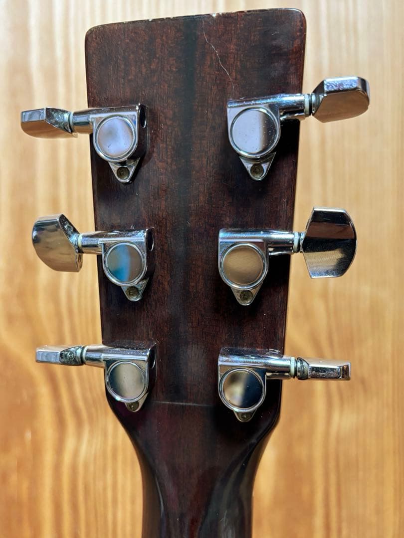 【エレアコ化・ライブ仕様】Aria ADW-200BS 低弦高2.5mm