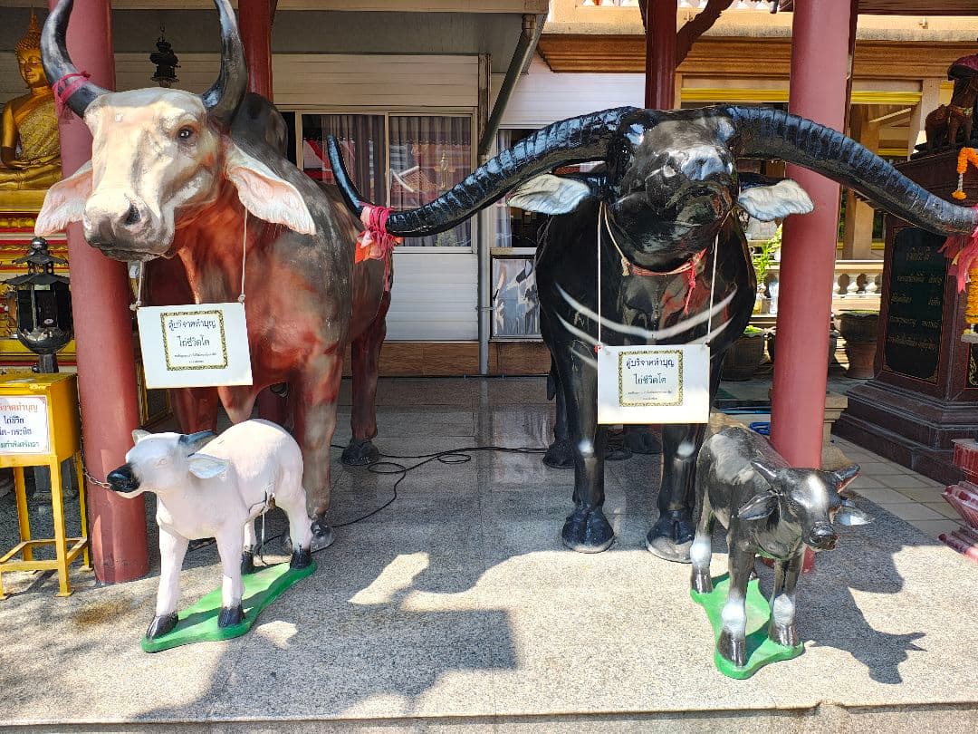 タイのお守りプラクルアン！チャームオイル！取説&呪文付き！！