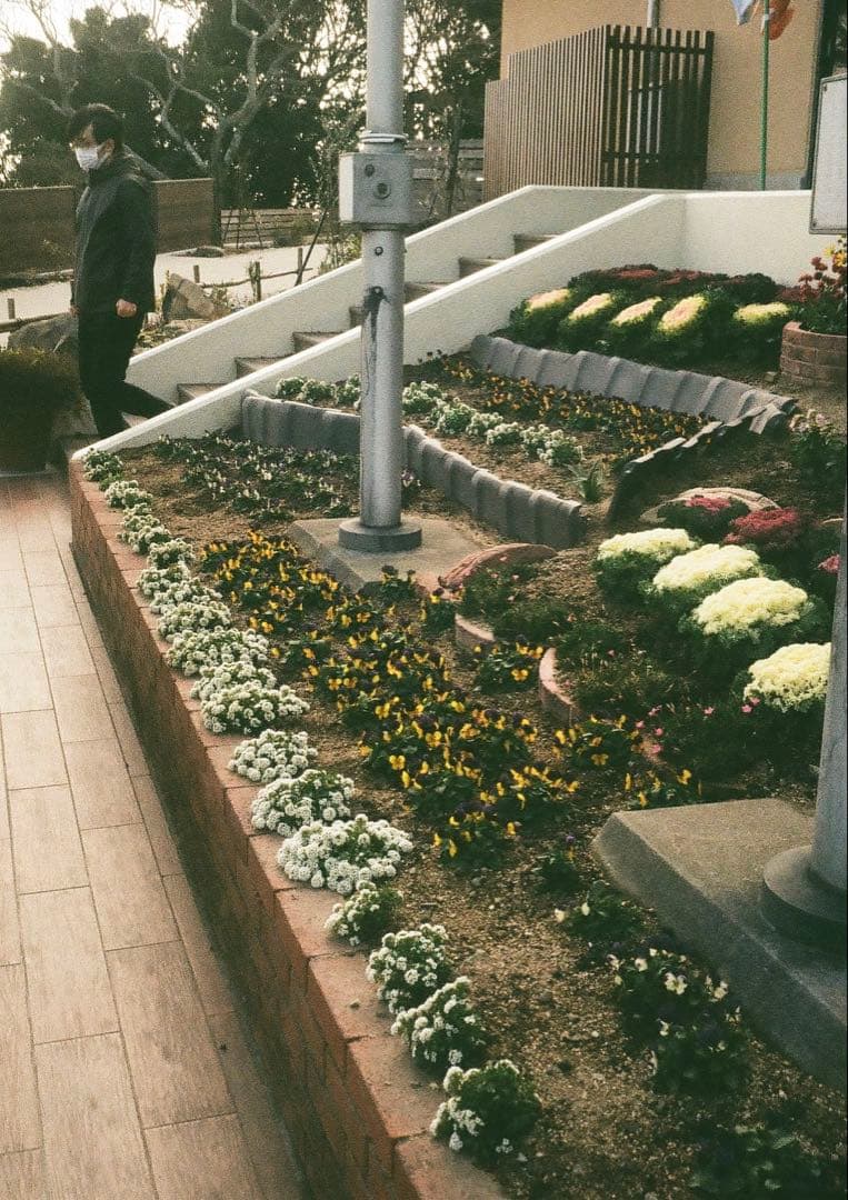 ✴️初心者向美品セット✴️実写・分解整備済✴️オリンパスPEN EE-3 完動品‼️