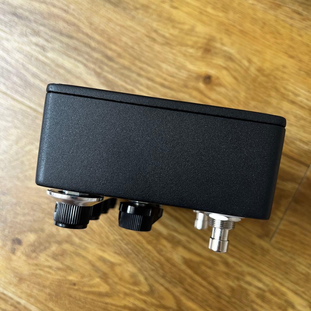 browne amplification protein クローン