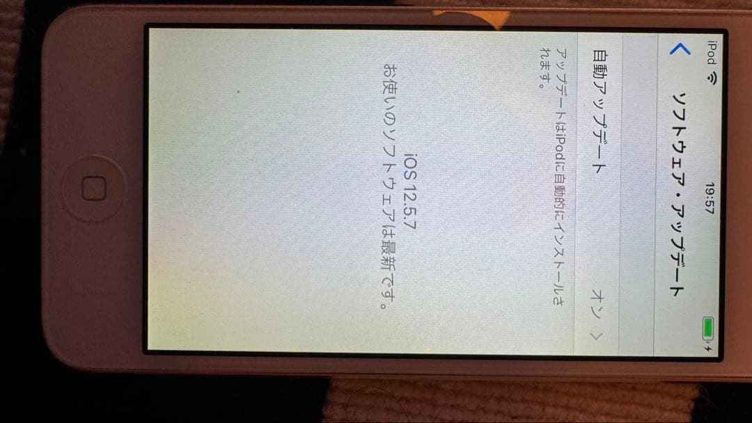 Apple iPod touch (第6世代) 容量　128GB used