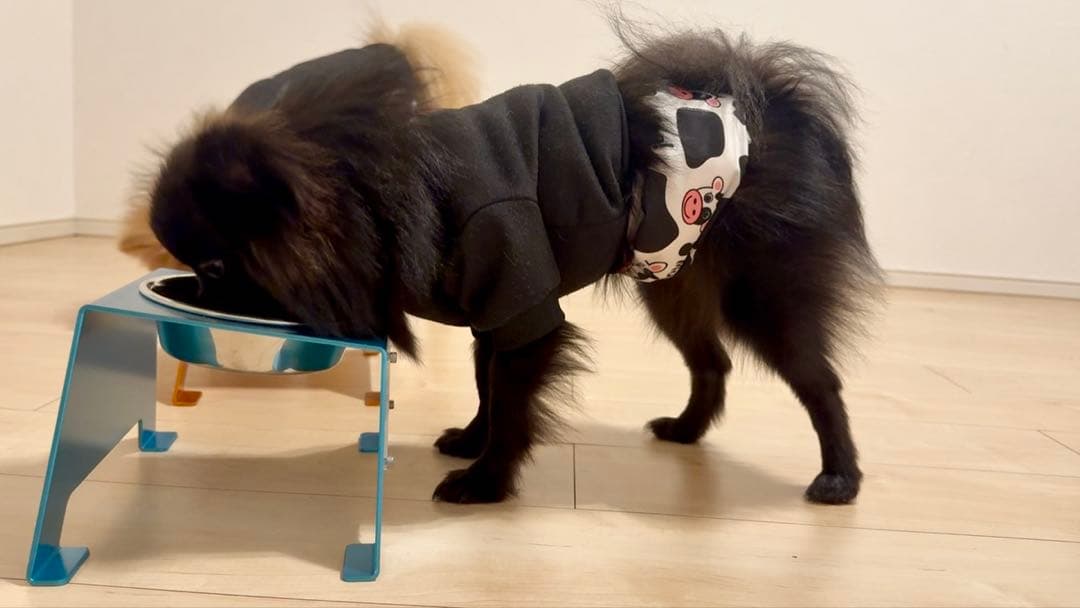 アルミフードボールスタンド ボール付き　名前入れ