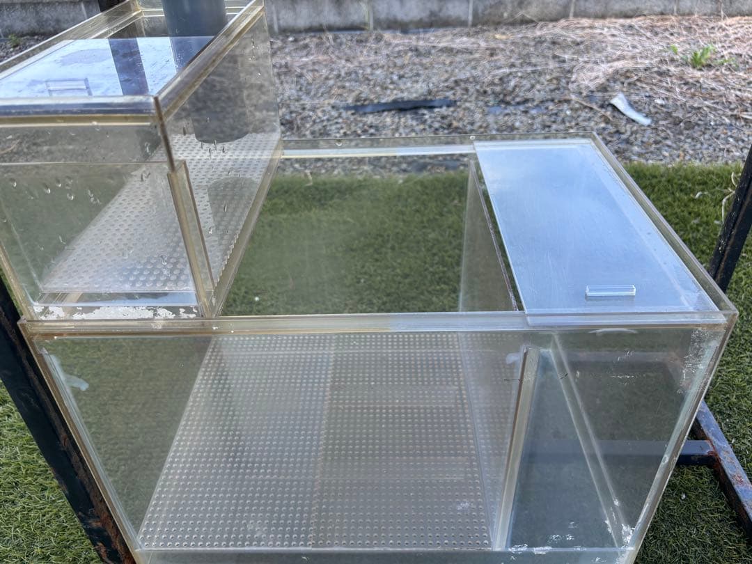 ☆値下げ☆オーバーフロー水槽 リフジウム　アクリル濾過層☆おまけ付き☆