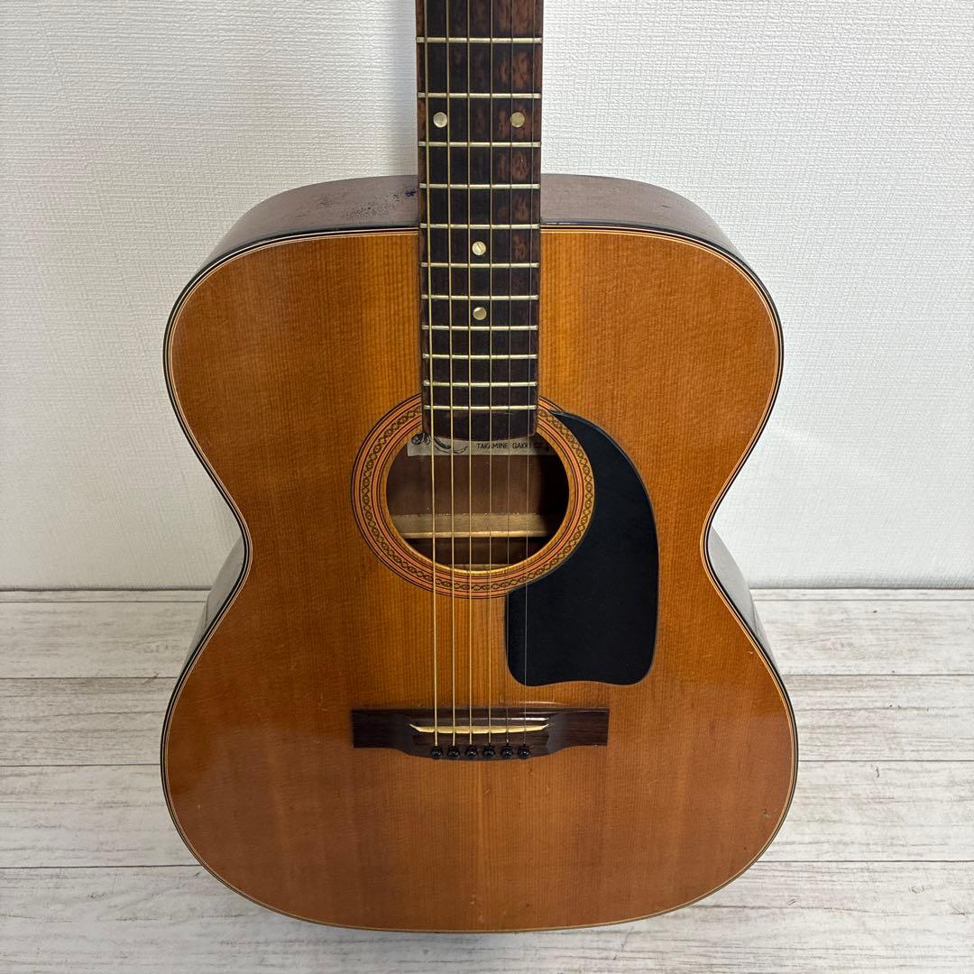 Elite アコースティックギター F1 ハードケース付