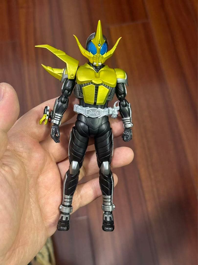 専用　コーカサス　ライブ