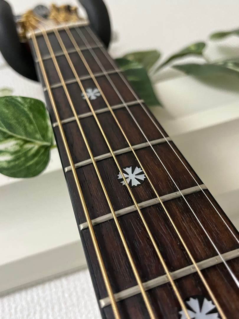 Morris モーリスTR701☆エレアコ オベーション タイプ Ovation