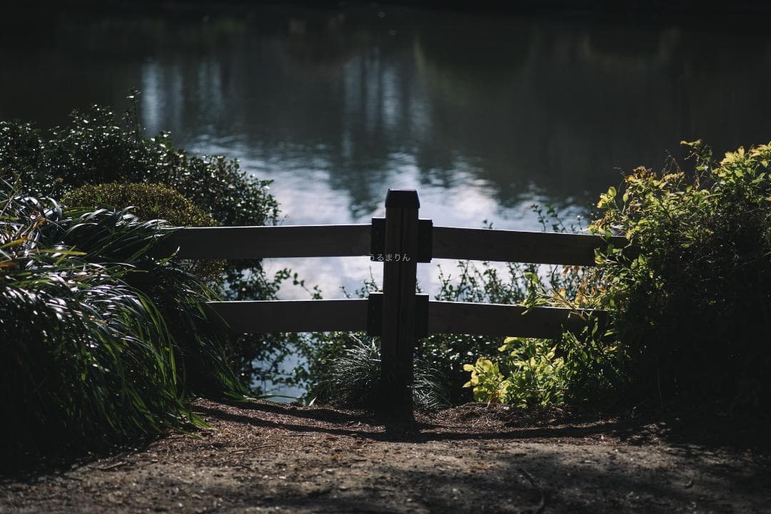 良品！CONTAX屈指の解像！SONNAR 85mm AEG オールドレンズ