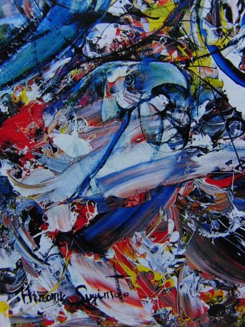 杉本ひろみ、渓谷に群がる鳥と蝶（夢彩シリーズ）、希少画集画、新品高級額・額装付