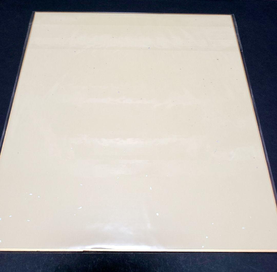 となりのトトロ 大トトロ カラーイラスト 直筆サイン色紙