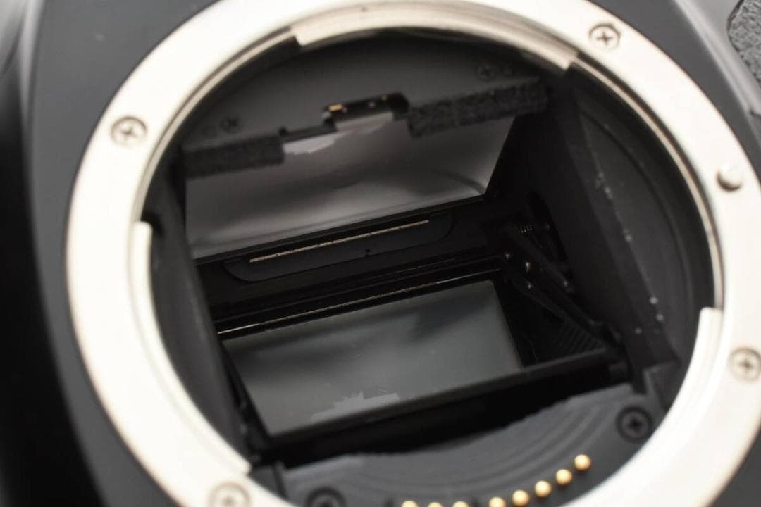 Canon EOS-1N 一眼レフフィルムカメラ 動作未確認現状品 #185o