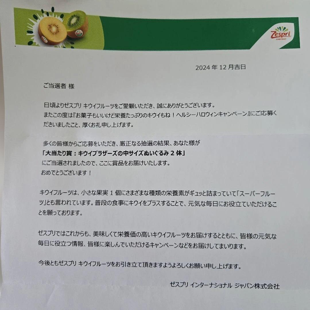 ゼスプリ　キウイ中ぬいぐるみ 2個セット