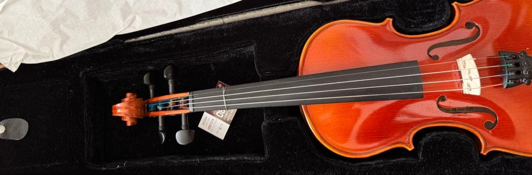 1/2 サイズ　スズキ　鈴木　No.230 アウトフィット　バイオリン　2021
