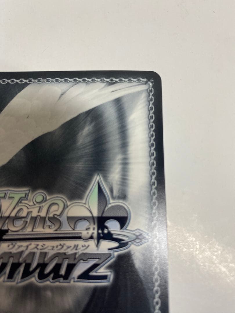 ヴァイスシュヴァルツ　フリードリヒ・デア・グローセ　SEC