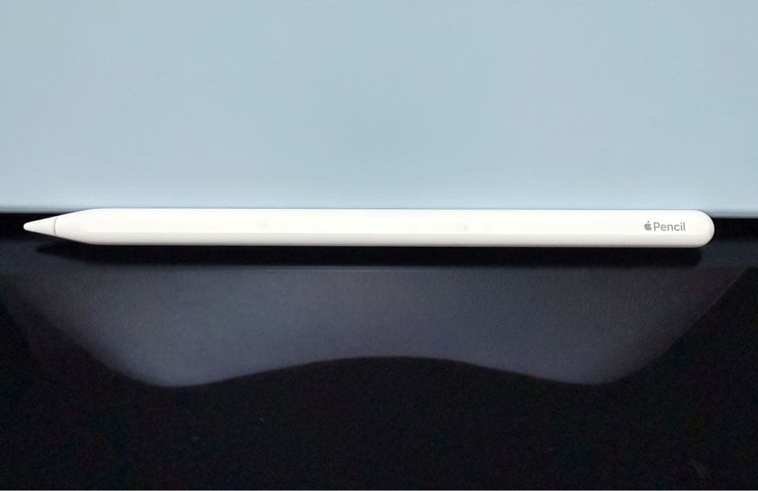 か*ぺ様 iPad Pro 12.9 第4世代 256GB Apple Penc