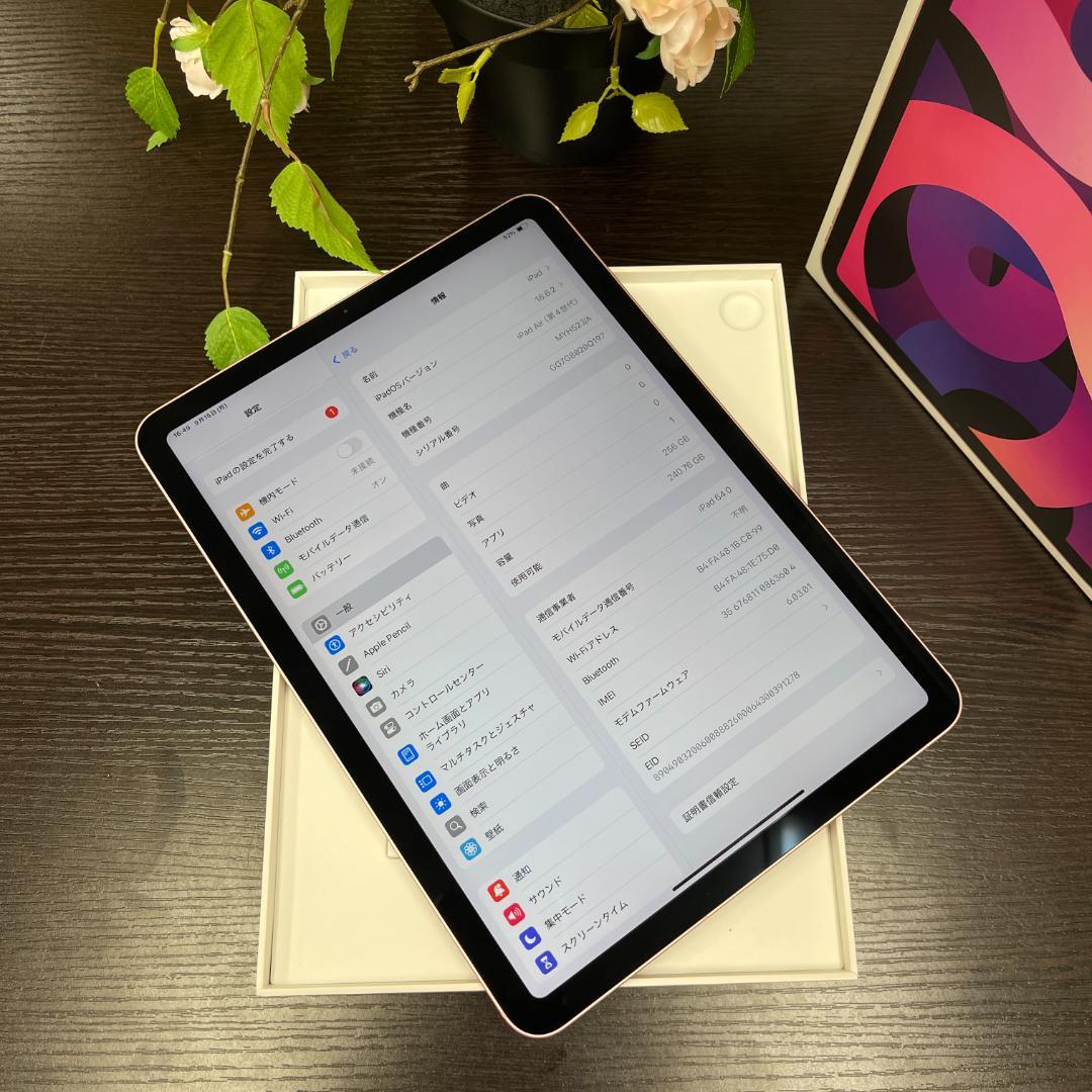 iPad Air(第4世代) 256GB Wi-Fi + Cellularモデル