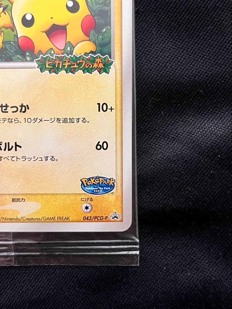 ポケパークのピカチュウ ポケパーク ポケモンカード