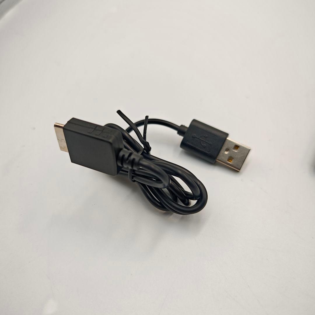 【動作品】SONY WALKMAN NW-A55 本体 16GB 充電ケーブル付