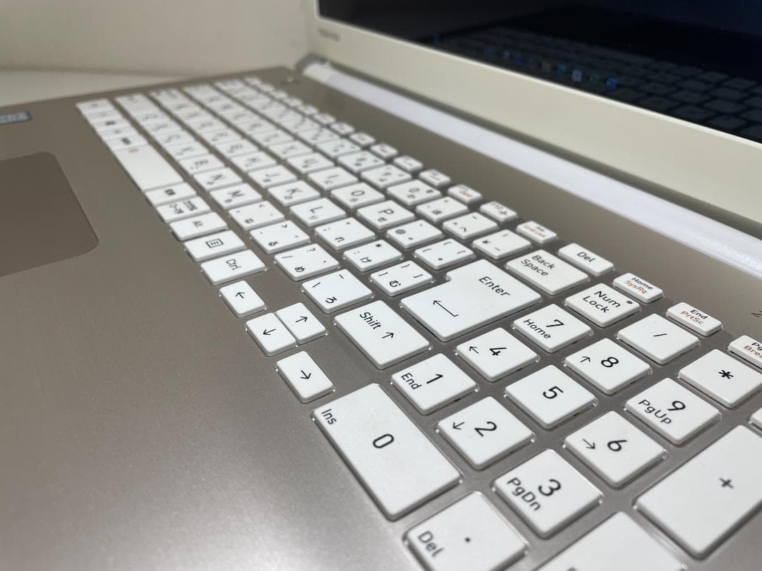 第8世代ＤynabookP1-T6NP-EG i7-8565USSD500M16