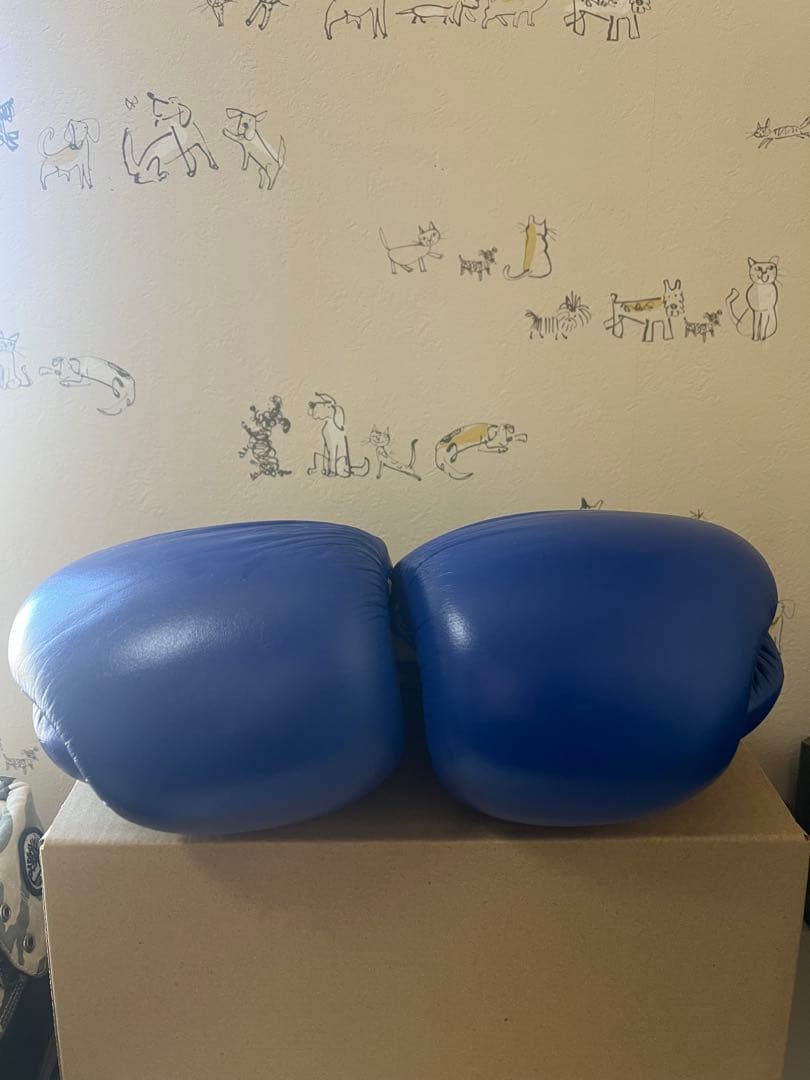 Winning ボクシンググローブ 公式戦JABF 10oz ブルー 新品未使用