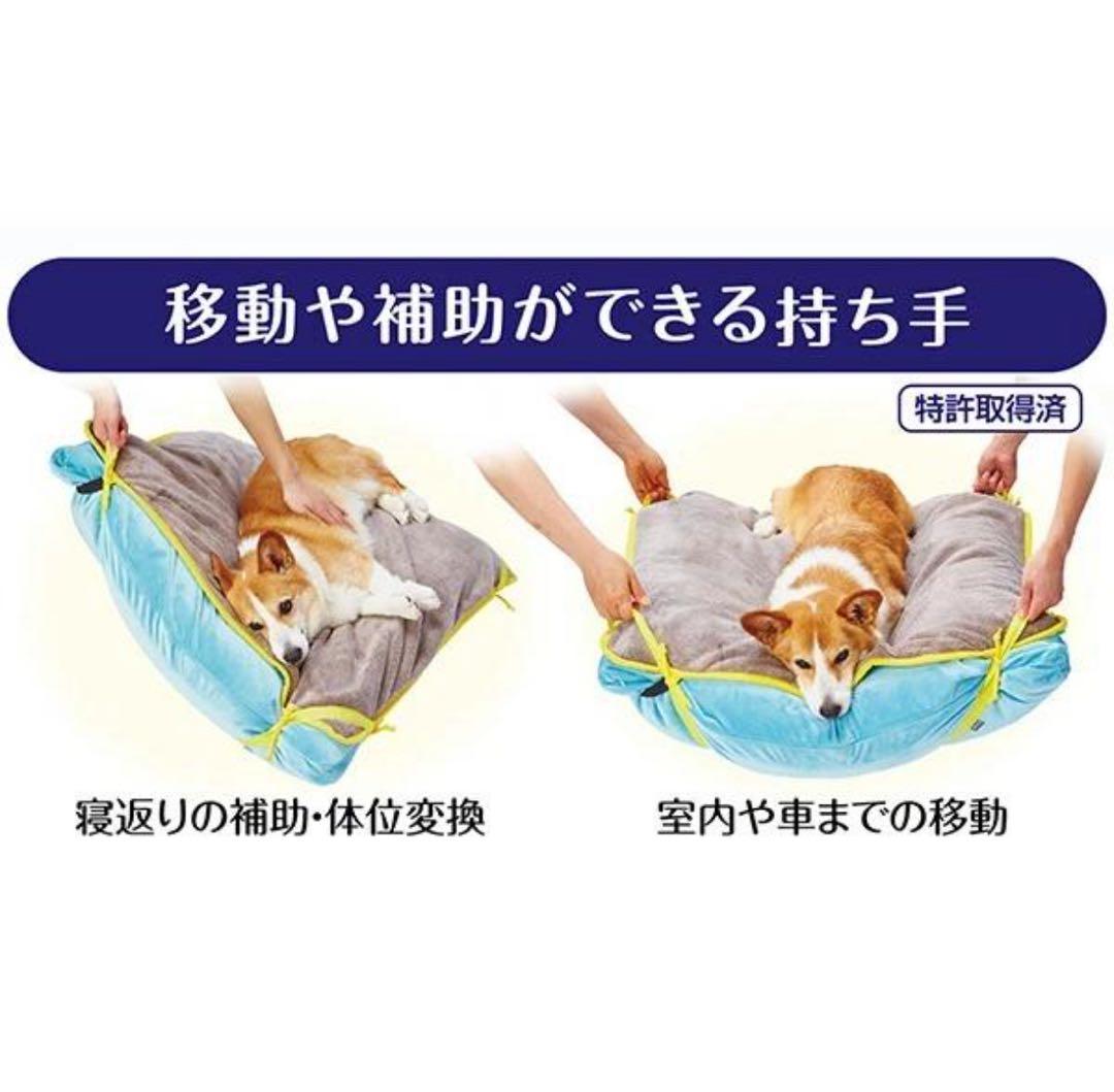 ペティオ ビーズベッド ビーズクッション 中サイズ