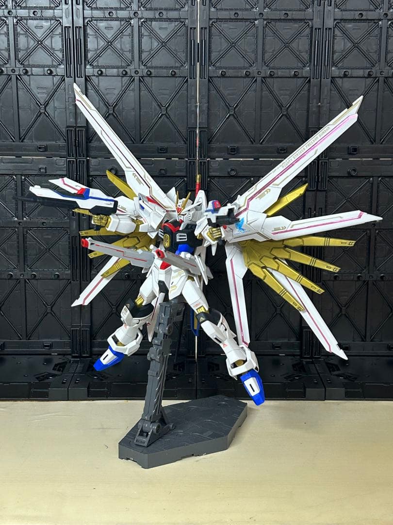マイティーストライクフリーダムガンダム　塗装完成品　部分塗装　HG