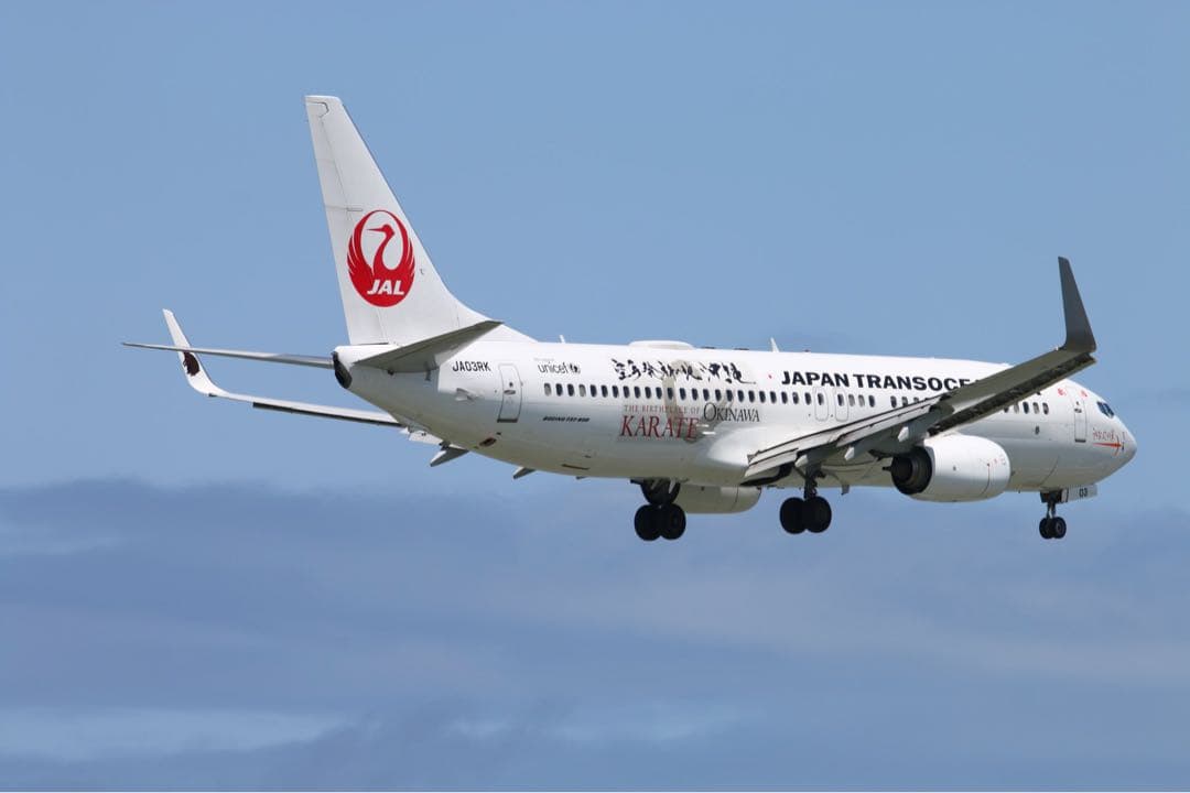 モデルプレーン　1/130 JTA737-800 空手ジェットスナップインモデル