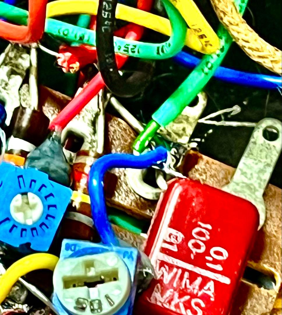 DeliciousTaylormade BeeAroundLil’BEEtle