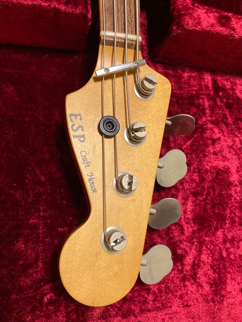 【期間限定】esp ppj with fright case