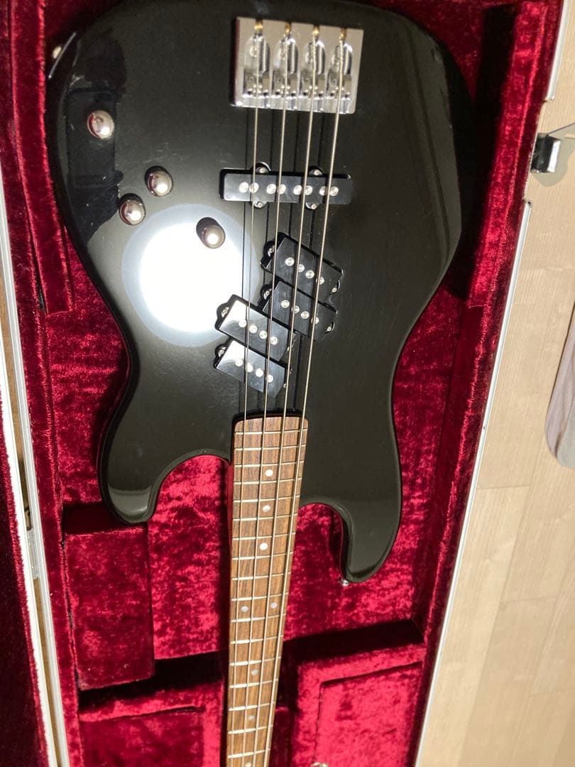 【期間限定】esp ppj with fright case