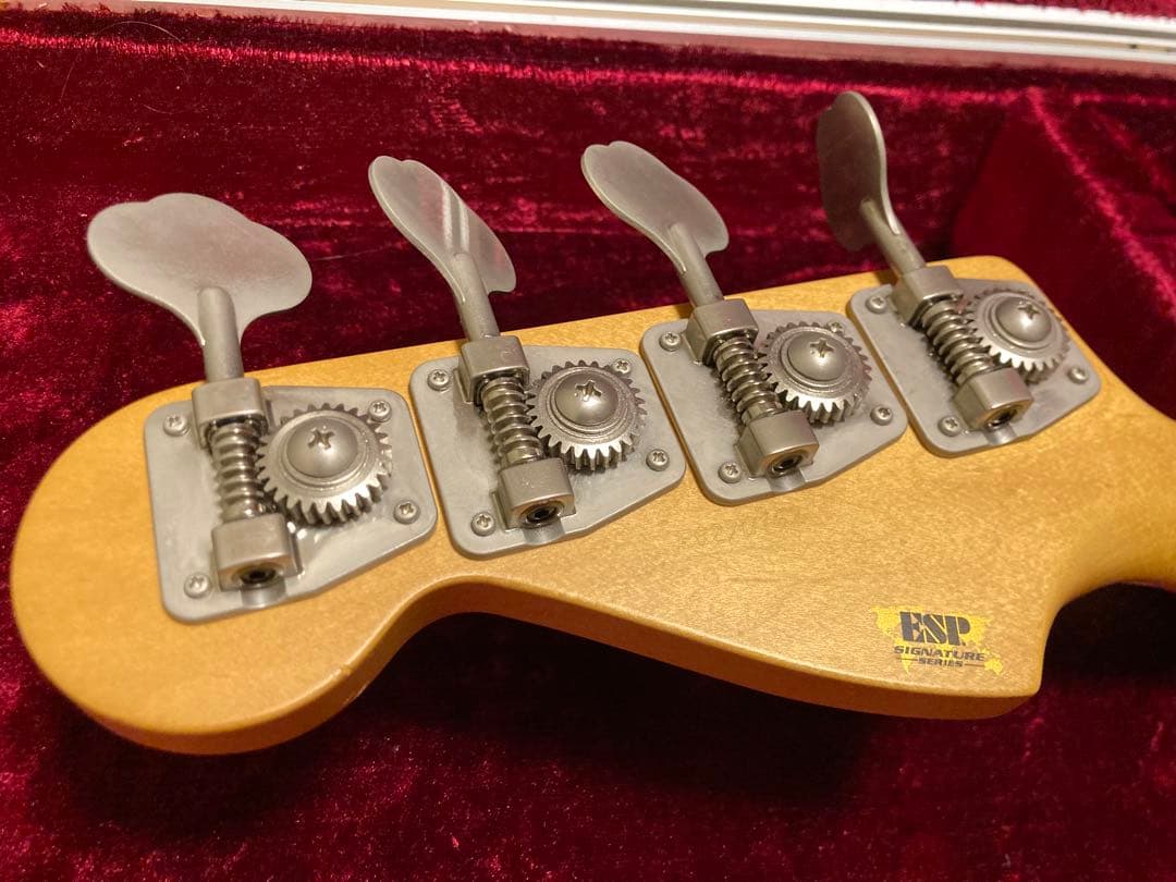 【期間限定】esp ppj with fright case