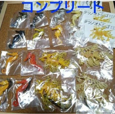 ネイチャーテクニカラー タツノオトシゴ 奇譚クラブ ガチャ