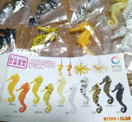 ネイチャーテクニカラー タツノオトシゴ 奇譚クラブ ガチャ