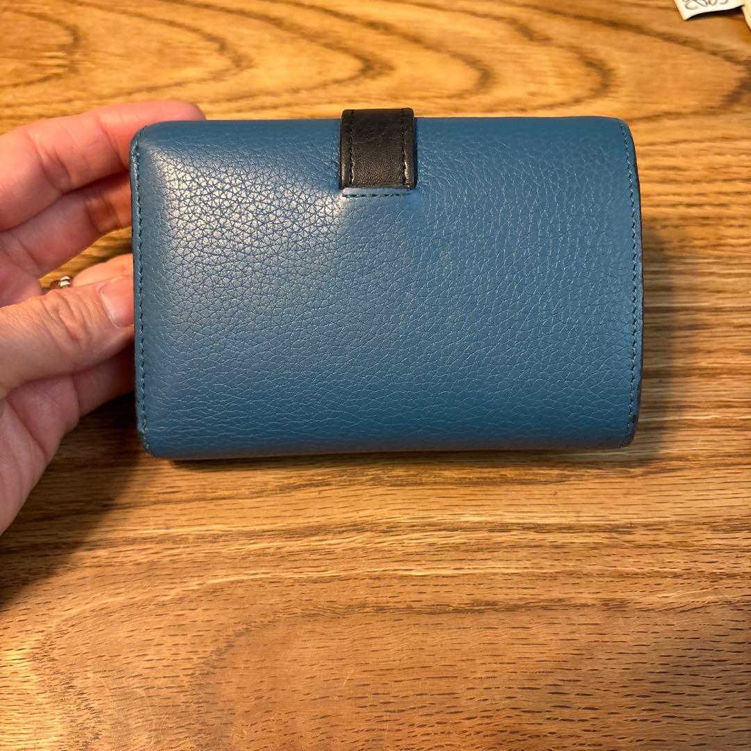 【ビジー】LOEWE バーティカル　スモール　ウォレット　廃盤カラー