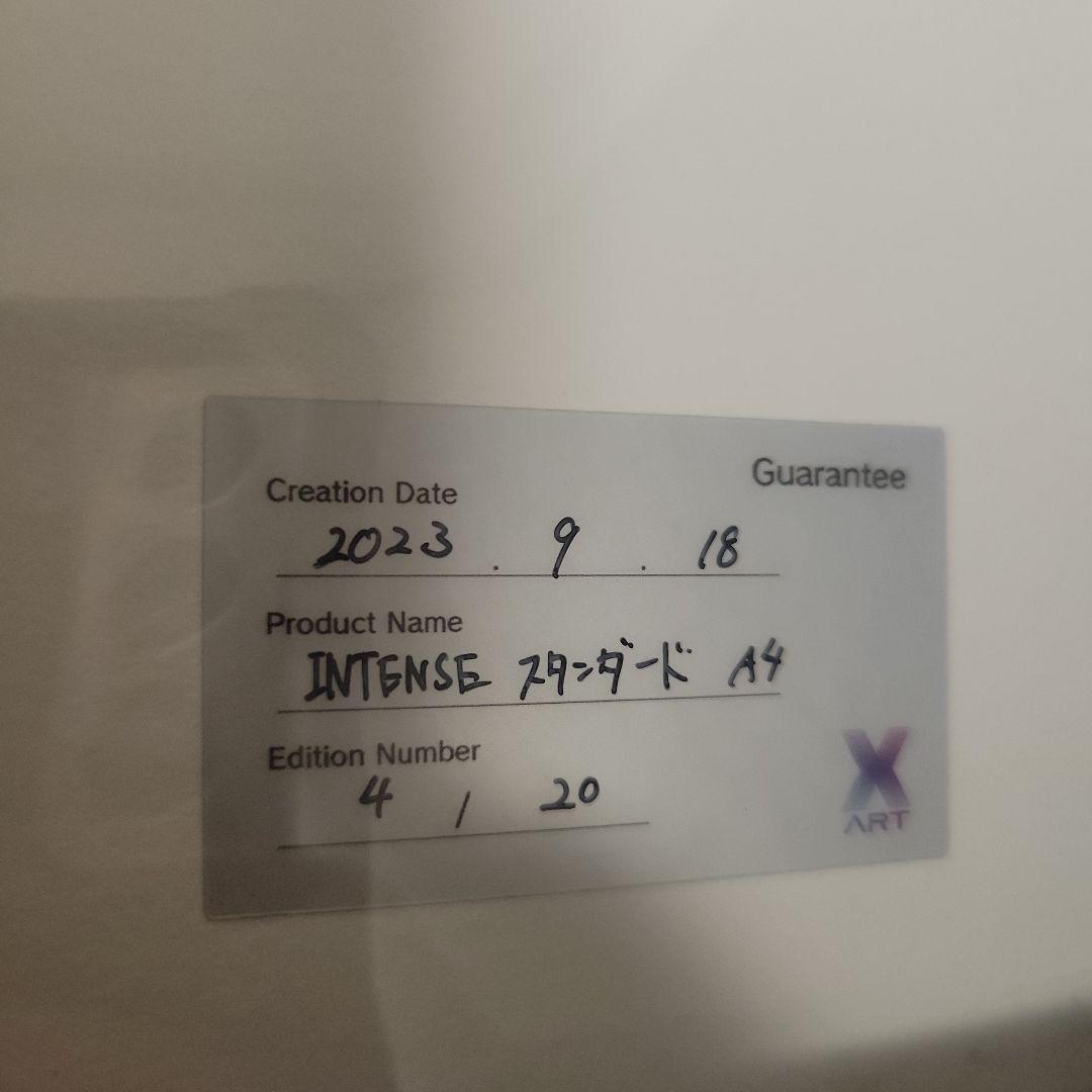 X-ART 高峰ナダレ Coast is clear ジークレー