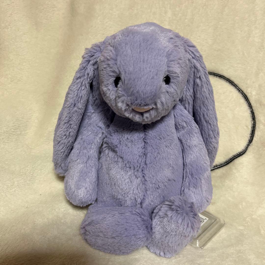  Bashful Dusky Blue ・Viola