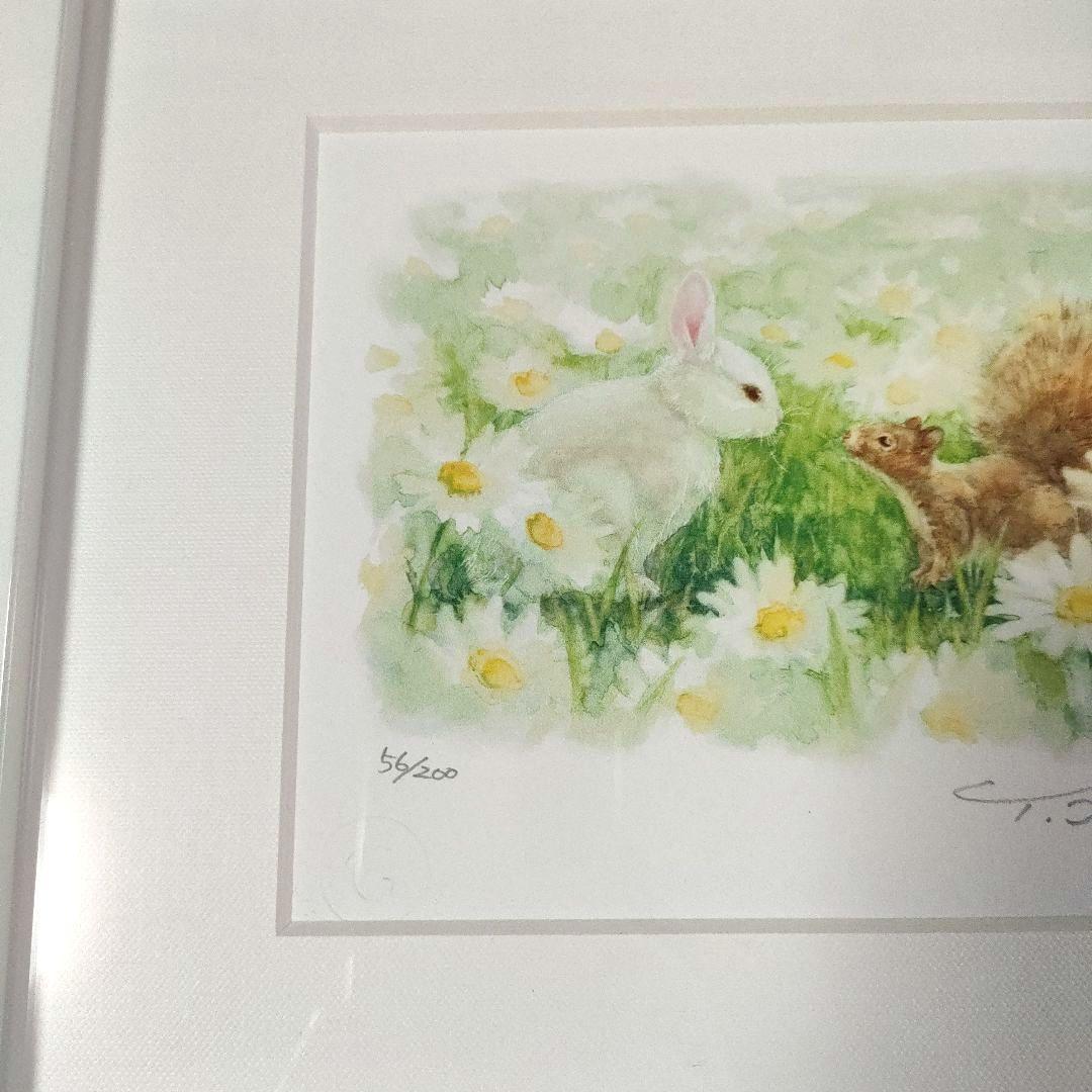 土田穣　つちだゆたか「お気に入りの野原」