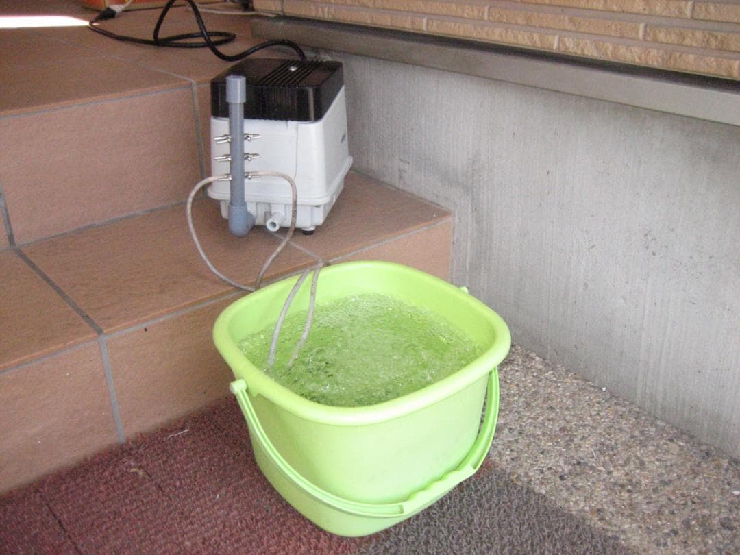 【安永(EP-80E-L)80L】　ダイアフラム　エアポンプ　ブロワ　浄化槽