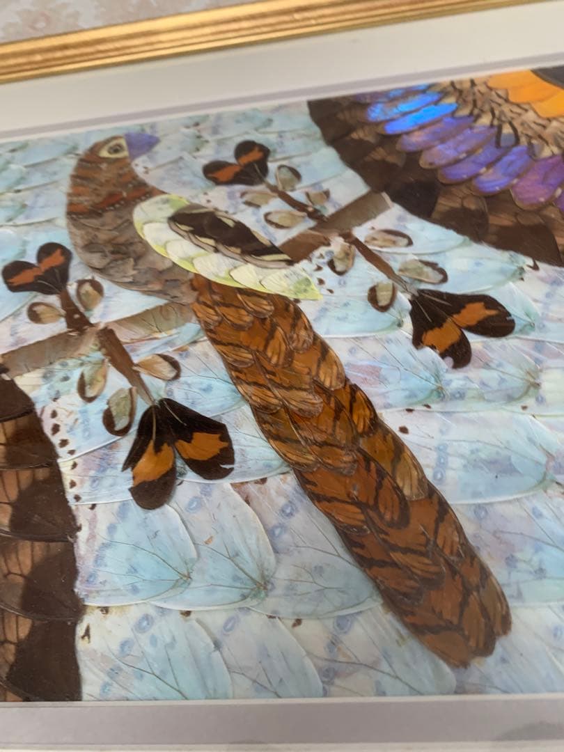 モルフォ蝶 羽絵 アート アンティーク インテリア 額装 羽細工 蝶標本 壁掛け