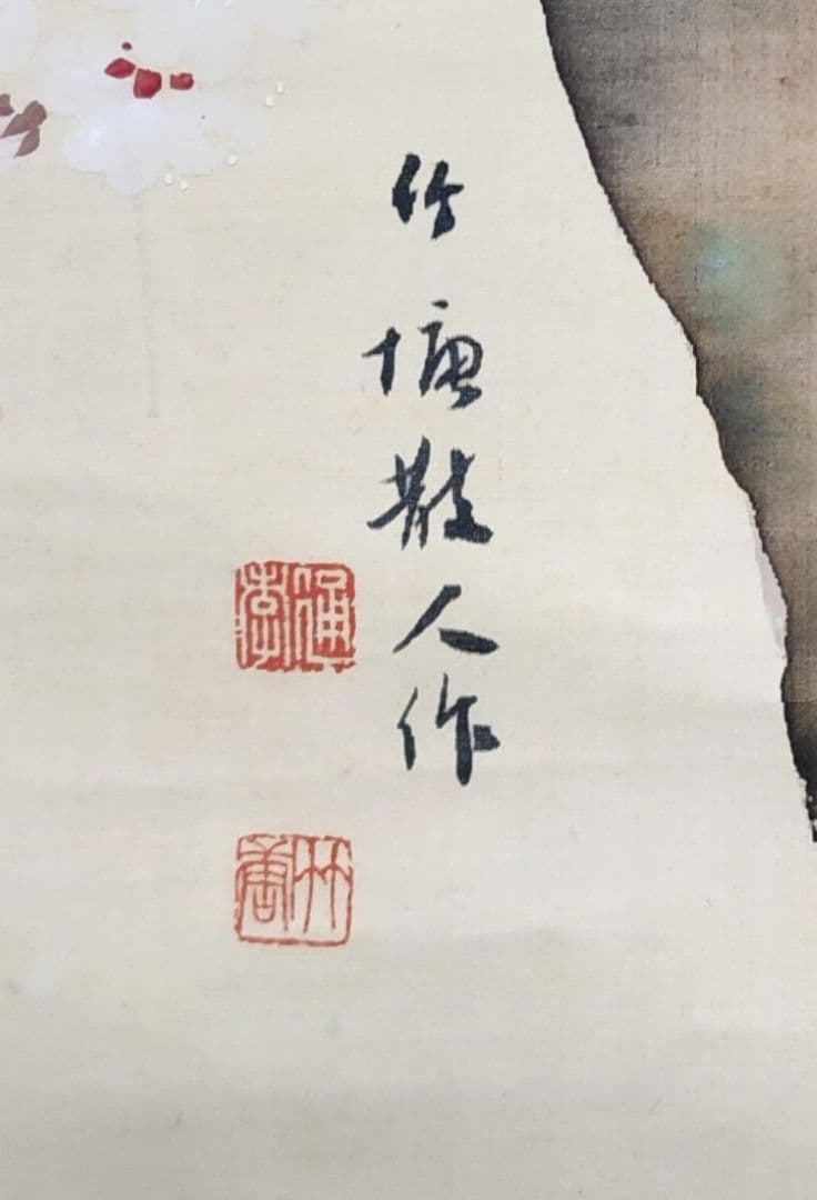 【桜花図】土居竹塘 2710 サクラ 春掛け 掛け軸 肉筆