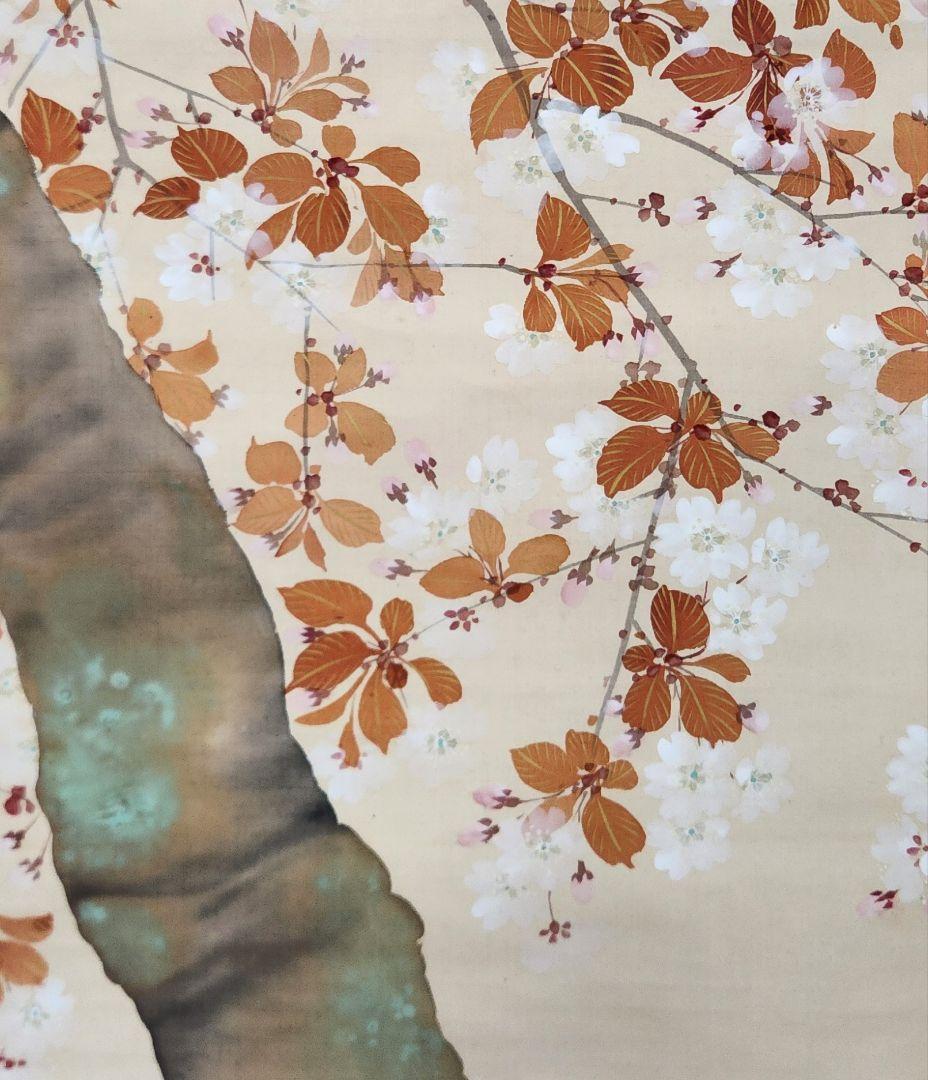 【桜花図】土居竹塘 2710 サクラ 春掛け 掛け軸 肉筆