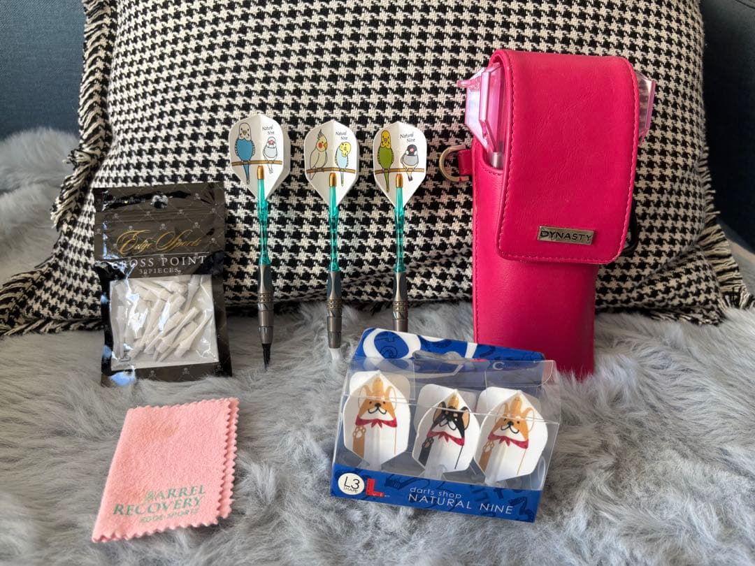 ダーツ用品セット　TARGET POWER 9FIVE G2フィルテイラー付き