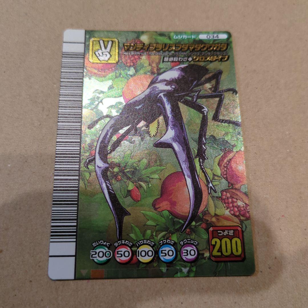 ムシキング！マンディブラリスフタマタクワガタ　5周年