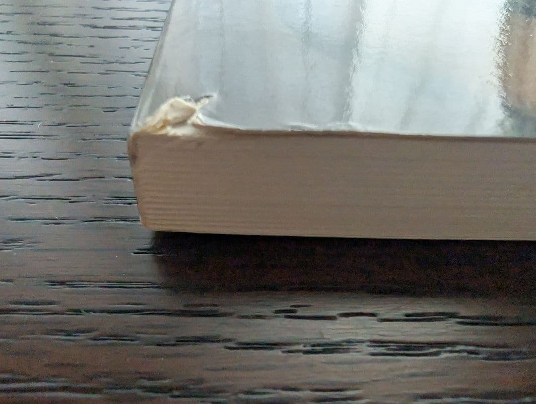 LOUVRE 美術作品集 2005年出版