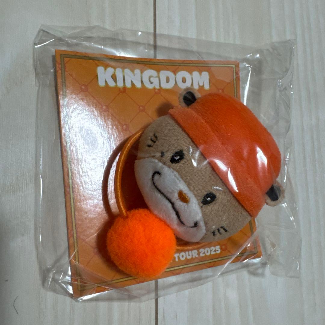 KINGDOM 2025 JSB3ポンポンキャラクターヘアゴム4つセット